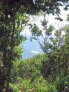 SE VENDE TERRENO VISTA  MAR  PLAYA OAXACA BOQUERON A 30 MIN. PTO.ESCONDIDO en www.rentacasas.com.mx