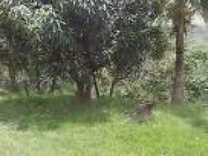  Avisos dse propiedades en Mexico en Coacalco |  terreno en venta coacalco centro, vendo terreno exalente para casa familiar