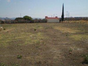 edilberto Avisos dse propiedades en Mexico en Puebla |  3 ultimos lotes de 160m2, atlixco