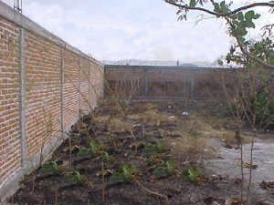 Raquel Correa Avisos dse propiedades en Mexico en Xochitepec |  VENDO TERRENO XOCHITEPEC, A 20 MIN. DEL CENTRO DE CUERNAVACA, , �Excelente ubicaci&oacute;n, clima y precio!