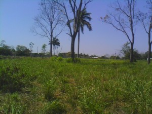natividad solis torres Avisos dse propiedades en Mexico en Villahermosa |  SE VENDE TERRENO EN LA JOYA DE VILLA OCUILTZAPOTLAN TAB., ATENCION INVERSIONISTAS