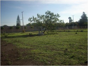 edilberto Avisos dse propiedades en Mexico en Puebla |  terreno de 175m2 en lomas de temaxcalapa, atlixco puebla