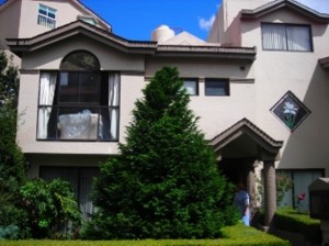 Vetro Impulsores Inmobiliarios Avisos dse propiedades en Mexico en Cuajimalpa de Morelos |  CASA EN CONDOMINIO CUAJIMALPA, UNICA, AMPLIA, EXCLUSIVA, APROVECHE LUJOSA CASA EN CONDOMINIO EN LOMAS SE VISA HERMOSA