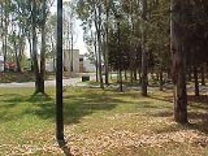 TIERRA NUEVA Avisos dse propiedades en Mexico en Puebla |  VENDO LOTE DE 200M2 EN FRACCIONAMIENTO, DIFERENTES PRECIOS