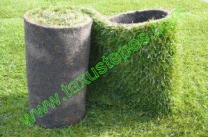 Tepecenter/Taxustepes Avisos dse propiedades en Mexico en Aguascalientes |  Taxustepes/Tepecenter. Sedum en mantas o tepes  y c&eacute;sped o pasto en rollos, placas o palmetas., Venta de c&eacute;sped natural en  rollo, zacate,  pasto, tepe en rollos y sedum