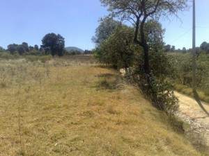 EDGAR AGUILAR Avisos dse propiedades en Mexico en Lerma |  TERRENO A EXCELENTE PRECIO, OFERTO TERRENO