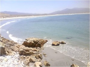 Mauricio Avisos dse propiedades en Mexico en Mexicali |  555 hectareas con 2 km de frente al mar HERMOSISIMAS PLAYAS, Venta o Permuta (en parte)