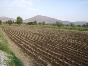 edilberto Avisos dse propiedades en Mexico en Puebla |  TERRENO EN SAN FELIX ATLIXCO PUEBLA MEXICO, ATLIXCO