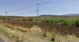Patricio Rodr&iacute;guez Avisos dse propiedades en Mexico en Comonfort |  Rento excelente terreno 2.5 ha a 11 minutos de San Miguel de Allende., $ 5/m2