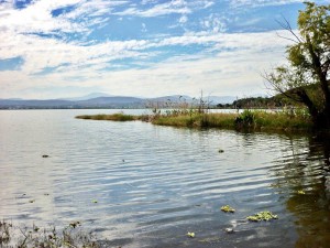 ANA LINE Avisos dse propiedades en Mexico en Miacatlan |  PALAPA A ORILLAS DE LA LAGUNA DE COATETELCO MORELOS, PALAPA A  ORILLAS DE  LA LAGUNA PARA  ACAMPAR O EVENTOS SOCIALES