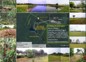 MarioPerez Avisos dse propiedades en Mexico en Alvarado |  SE VENDE EL EDEN, RANCHO 60 Ha
