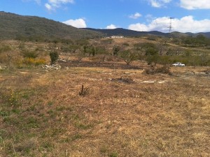antonio santiago Avisos dse propiedades en Mexico en Berriozabal |  TERRENOS ECONOMICOS EN BERRIOZABAL, CHIAPAS, BUEN CLIMA, 10 MIN DE TUXTLA GUTIERREZ