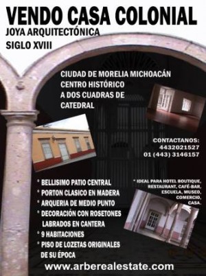 Ivan Avisos dse propiedades en Mexico en Playa del Carmen |  Remato Terreno en Playa del Carmen Unico, Terreno en Venta Playa del Carmen