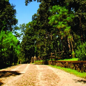 Carlos Mederos Avisos dse propiedades en Mexico en Tapalpa |  Precioso terreno en pinares de tapalpa $270,000 , Terreno tapala caba&ntilde;as