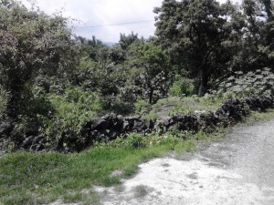 marco Avisos dse propiedades en Mexico en Tepoztl&aacute;n |  Oportunidad venta terreno ocotes 240 mtr excelente precio, Oportunidad terreno  240 mtr excelente precio