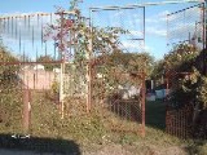  Avisos dse propiedades en Mexico en Guadalajara |  Terreno En San Jose Del 15 , Remato terreno, superficie total: 1,800 mts. cuadrados. $1�950,000 pesos recibo 