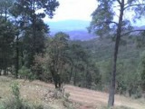  Avisos dse propiedades en Mexico en Guadalajara |  Terreno Eco-turistico En La Sierra A Solo 1 Hora , EXCELENTE OPORTUNIDAD!! TERRENO PANORAMICO BOSCOSO EN LA SIERRA DEL TIGRE