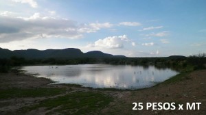 Luis De la cruz Avisos dse propiedades en Mexico en Jes&uacute;s Mar&iacute;a |  Terreno rustico de 50 600 en aguascalientes, Terreno rustico aguascalientes jesus maria
