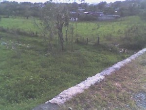  Avisos dse propiedades en Mexico en Guadalajara |  Terreno Rustico Campestre Con Servicios: 545,100 Mex$, VENDO HERMOSO  TERRENO  CAMPESTRE
