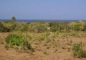  Avisos dse propiedades en Mexico en Los Cabos |  TERRENO EN VENTA CON VISTA AL MAR, EN LOS CERRITOS B.C.S.
